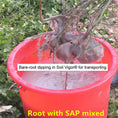 Load image into Gallery viewer, Fine Potassium Polymer Granules for Soil Vitality Boost - 40 lb
