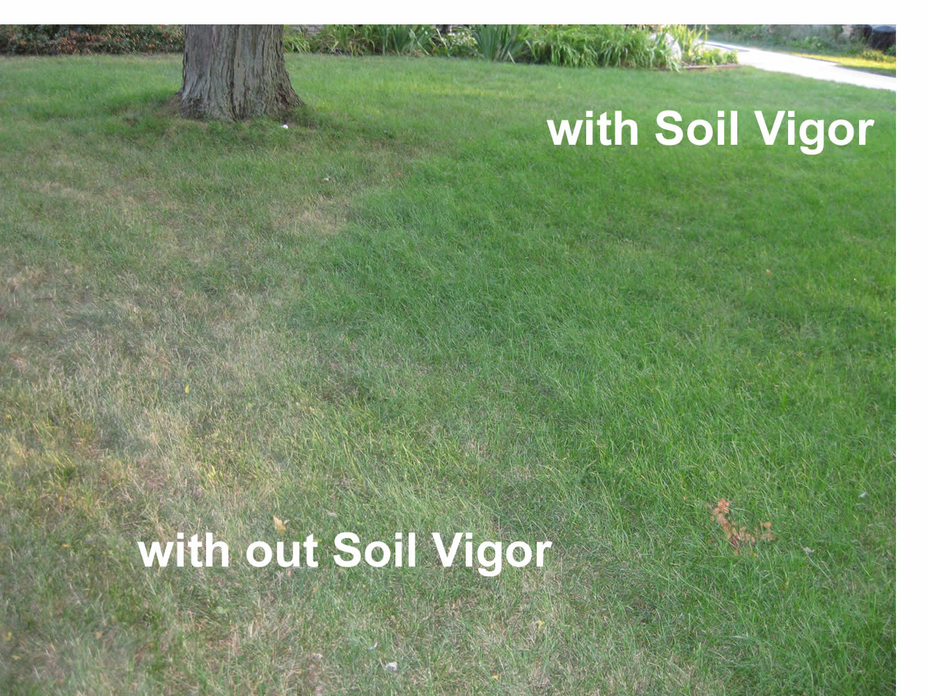 Soil Vigor: 5-10 Mesh (Large Size), 10 lb