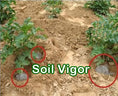 Load image into Gallery viewer, SOIL VIGOR: 5-10 MESH ( LARGE SIZE ), 40 LB
